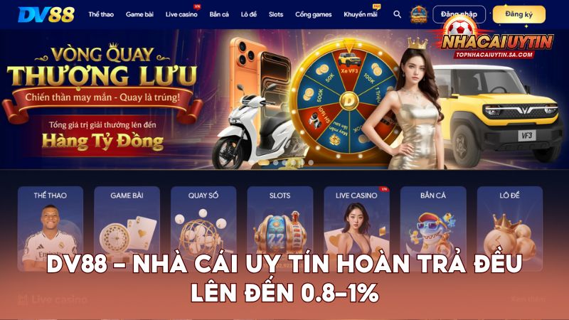 DV88 – Nhà cái uy tín hoàn trả đều lên đến 0.8–1%